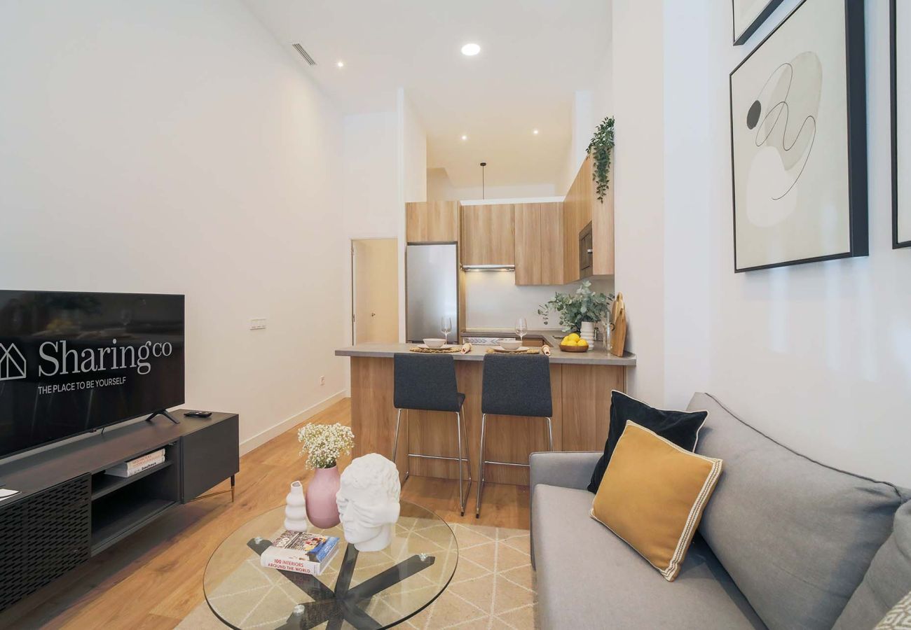 Apartamento en Madrid - Apartamento de 1 habitacion  en Mantuano 