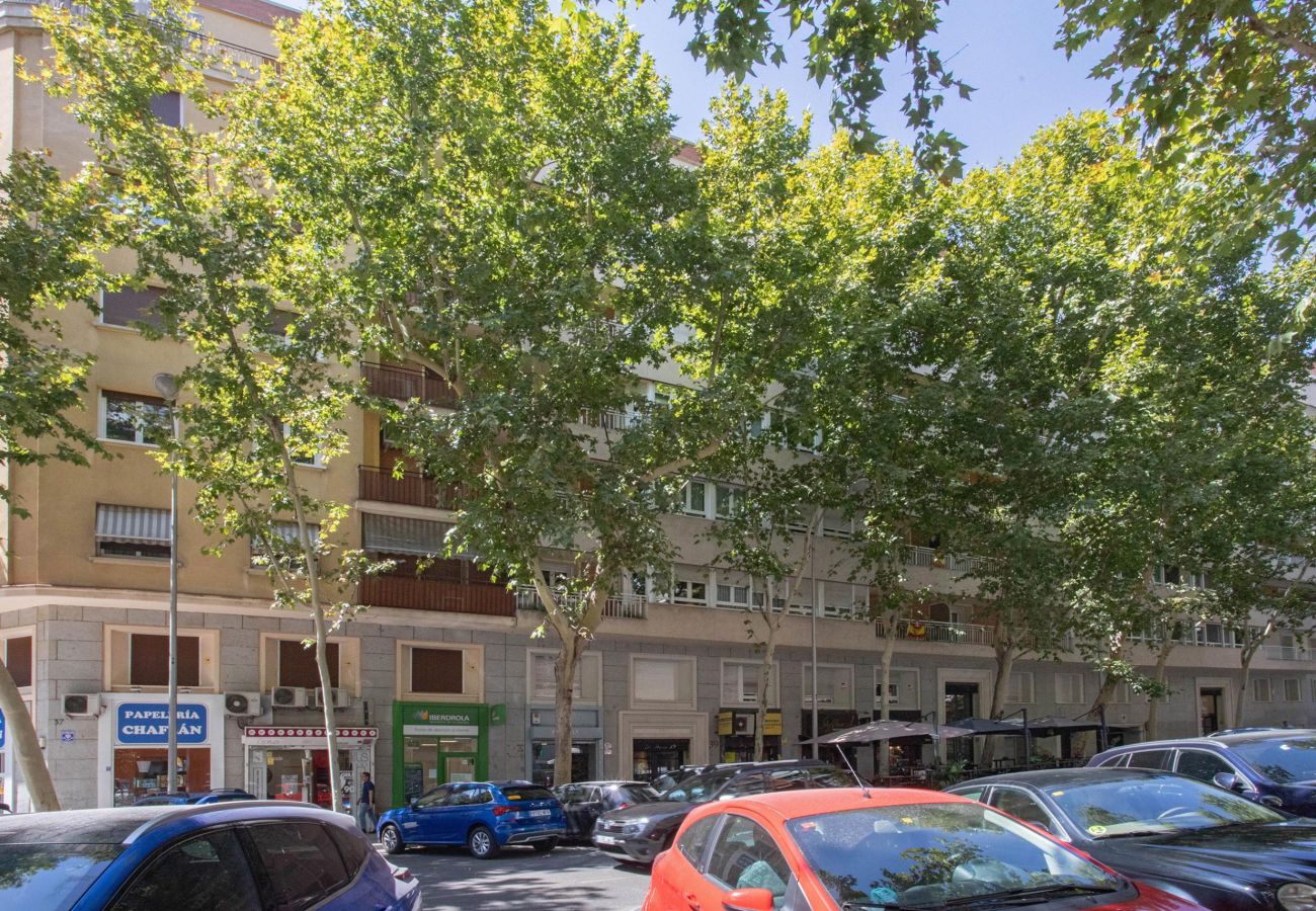 Apartamento en Madrid - Piso de 2 habitaciones en La Castellana Sharing Co.